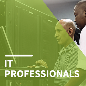 IT Professionals